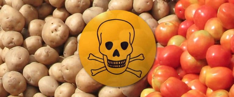 Formas de evitar el envenenamiento por alimentos