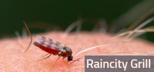 Cómo bajar la inflamación de una picadura de mosquito