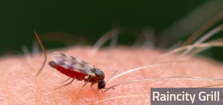 Cómo bajar la inflamación de una picadura de mosquito