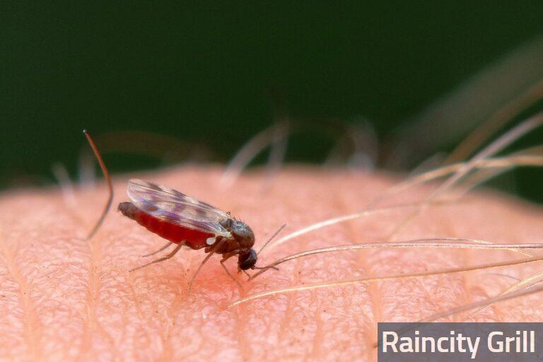 Cómo bajar la inflamación de una picadura de mosquito